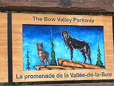 IMG_1449 Bow Valley Sign